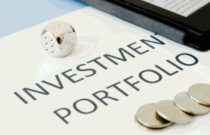Investment Portfolio Review